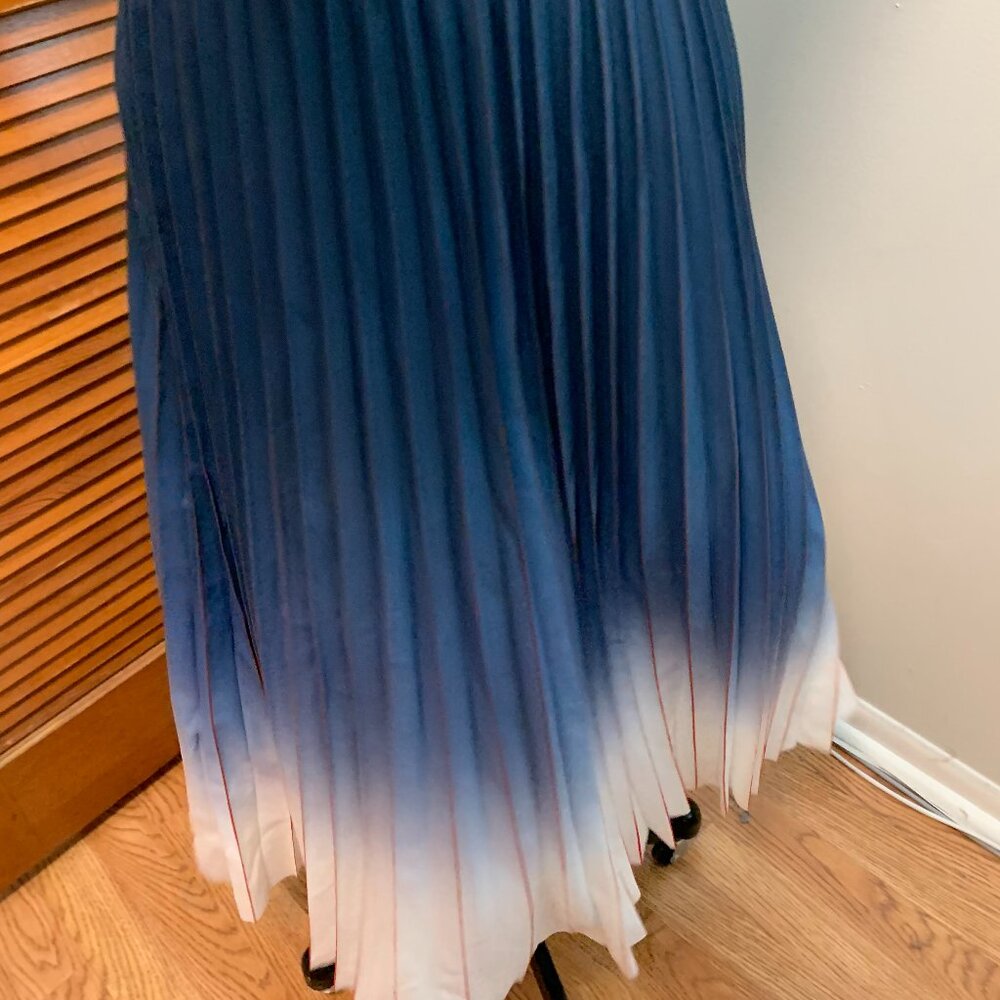 Kourt Accordion Skirt NWT Medium